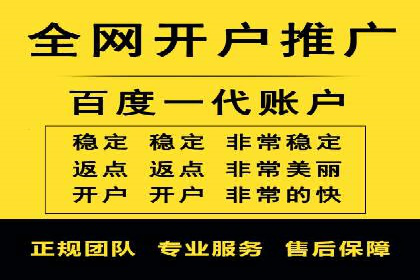 竞价广告的转化率提升策略——案例分享